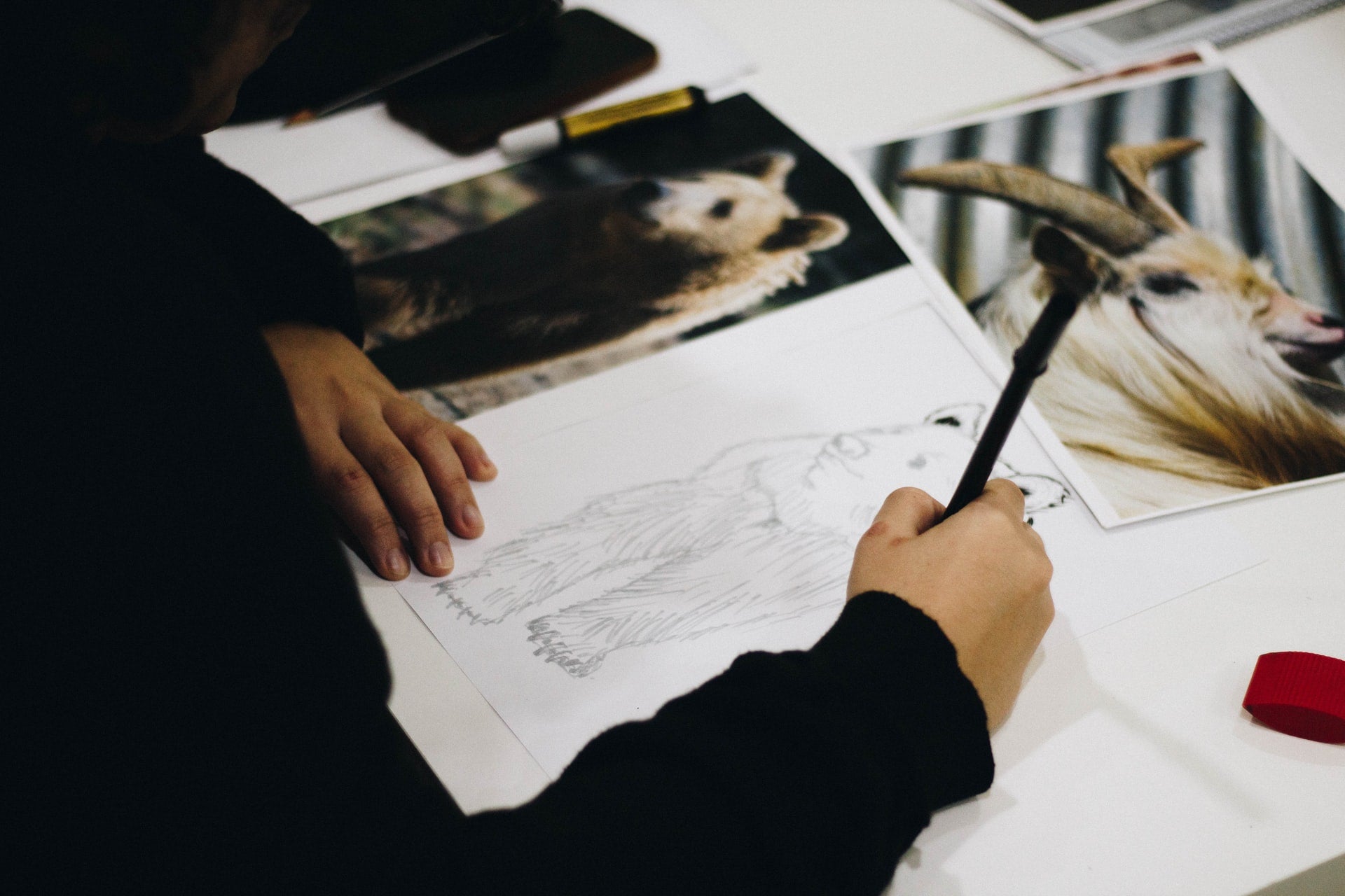 How I went from drawing like a toddler to making my colleagues jealous - BestPaintByNumbers