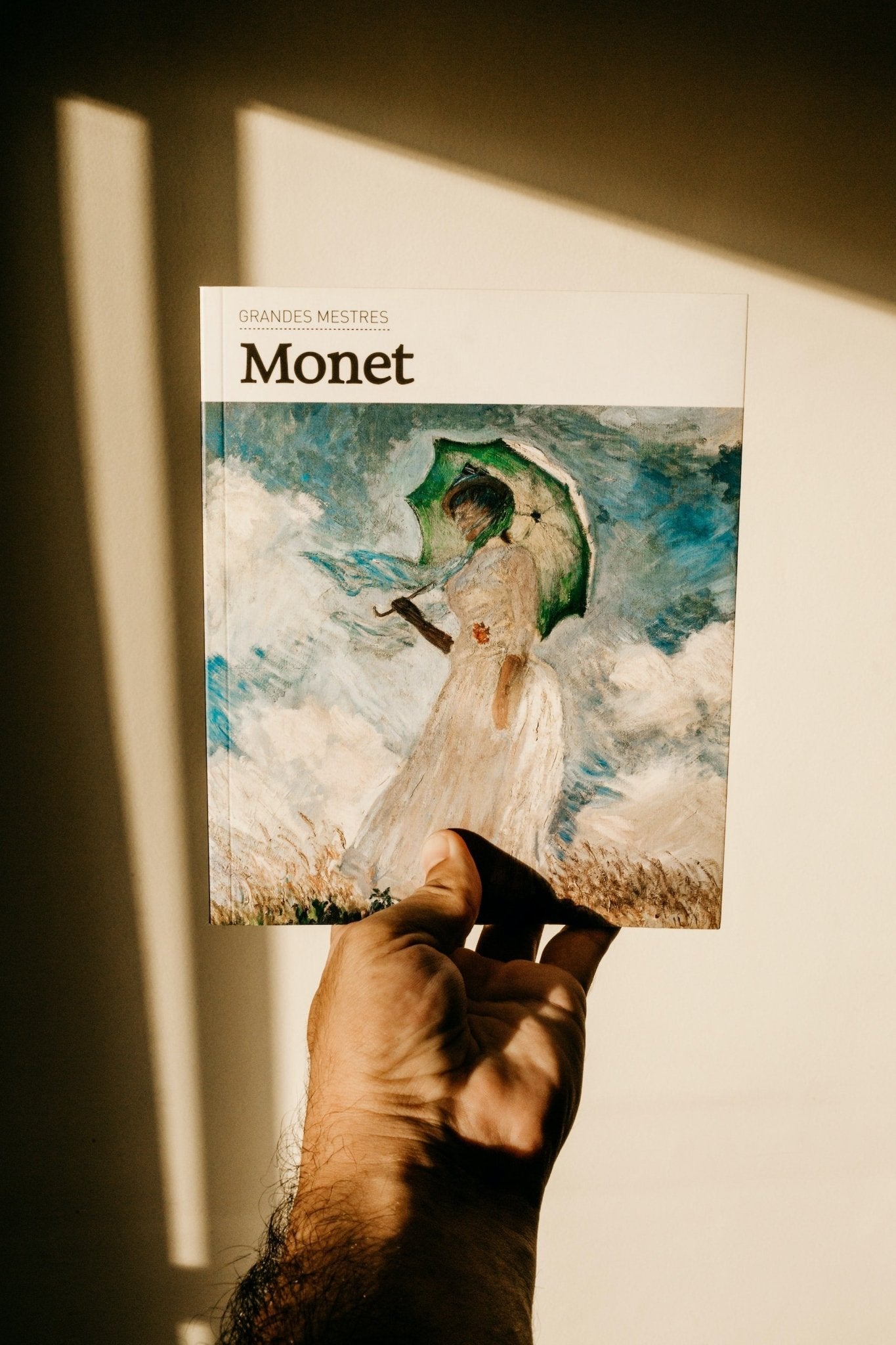 Learn How to Paint with BPBN in the Style of Monet - BestPaintByNumbers