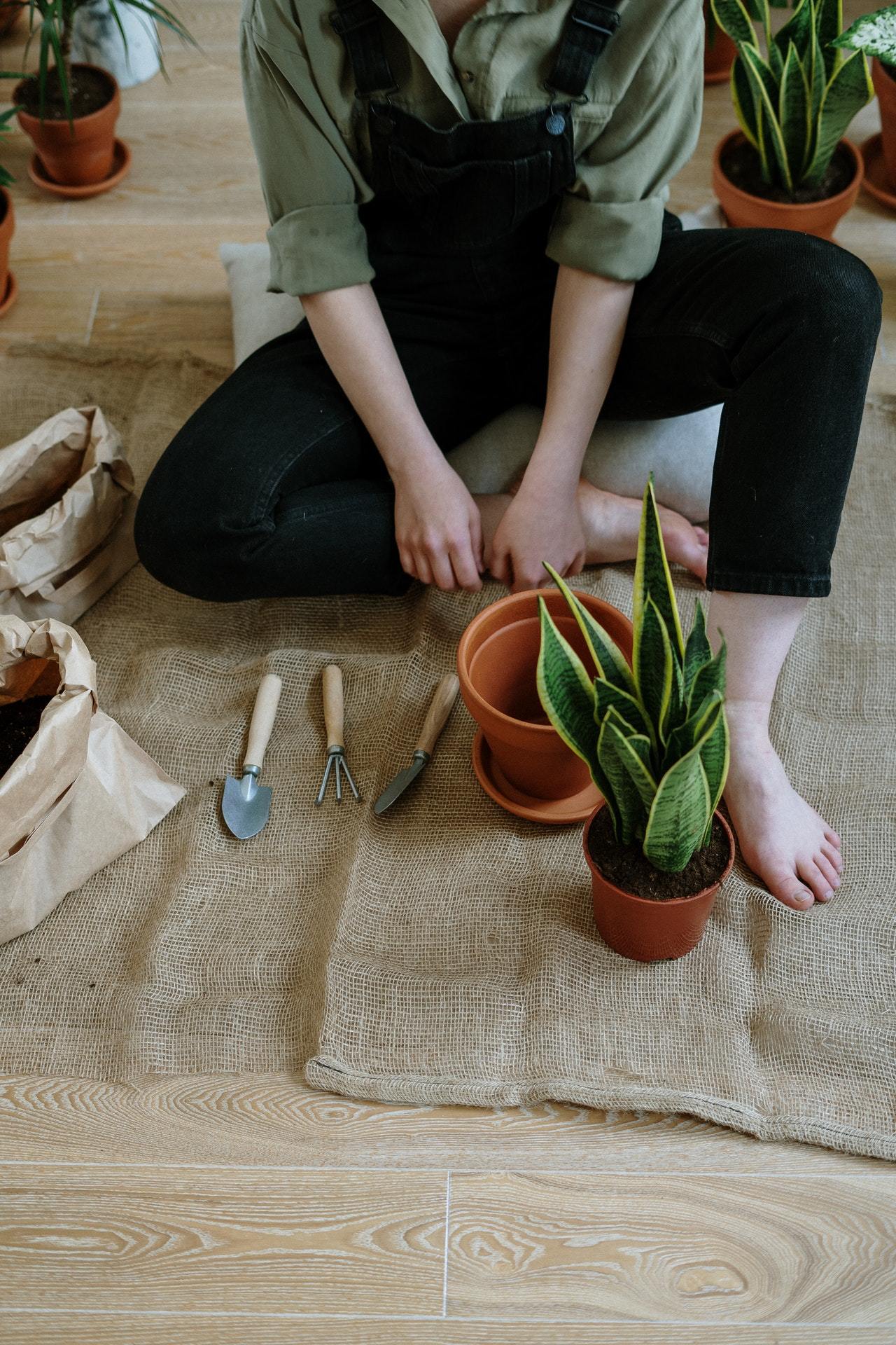 The Best Pastime Activities for Adults - BestPaintByNumbers