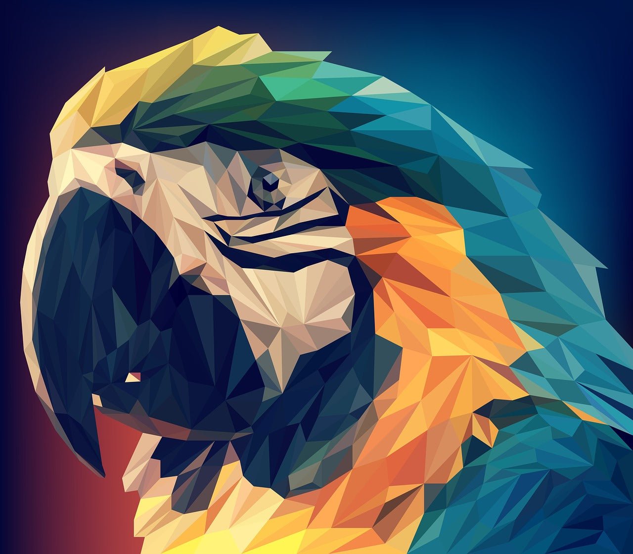 Vectors: What Is Vector Art? - BestPaintByNumbers