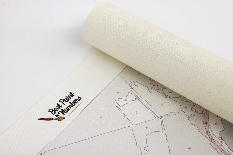 BestPaintByNumbers - Paint Brushes for Paint By Numbers with Paint Pots and Canvas.
