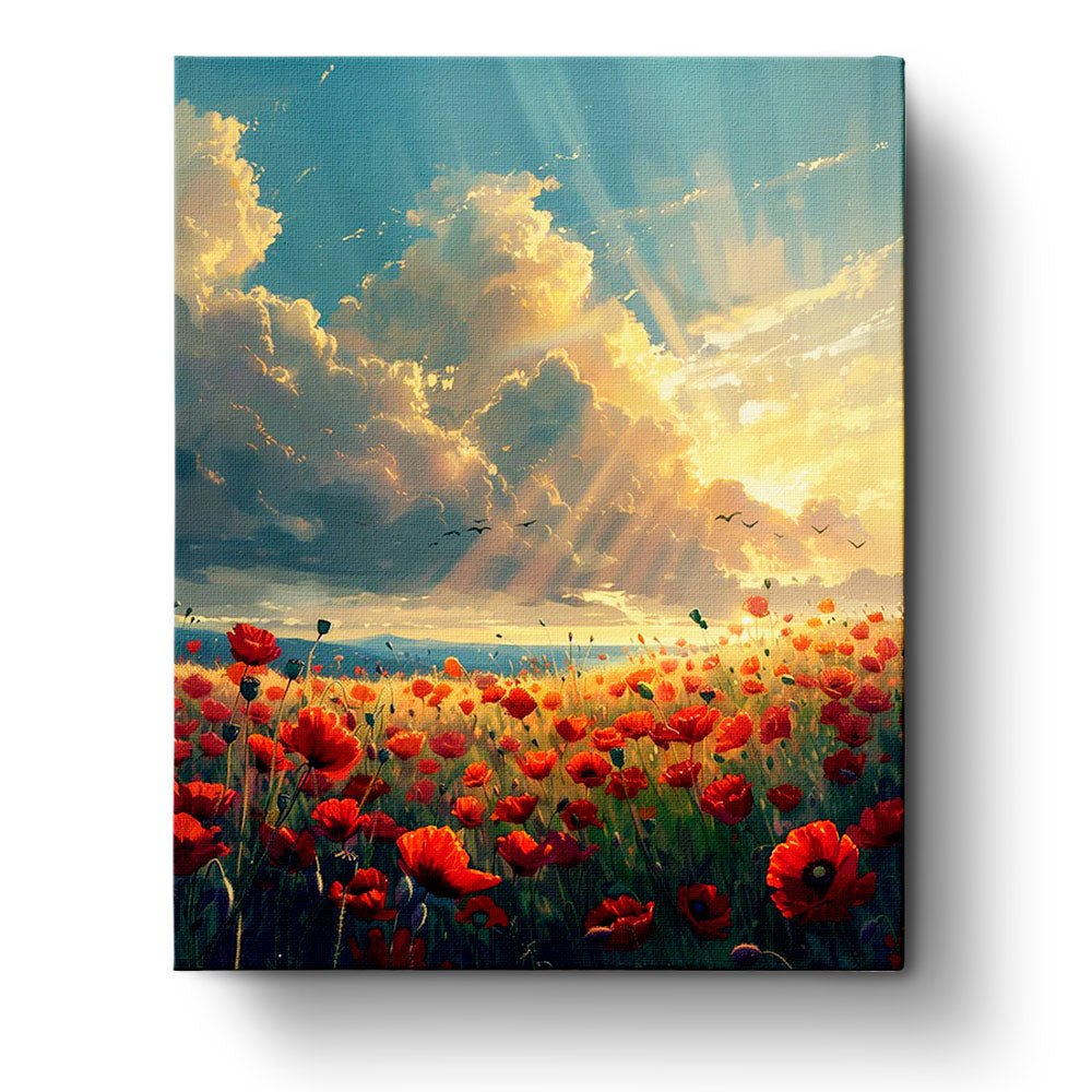 Fixed paint-by-number kit, 24 colors, 16x20in. Bright poppy field under sunset. Enjoy relaxing creativity.