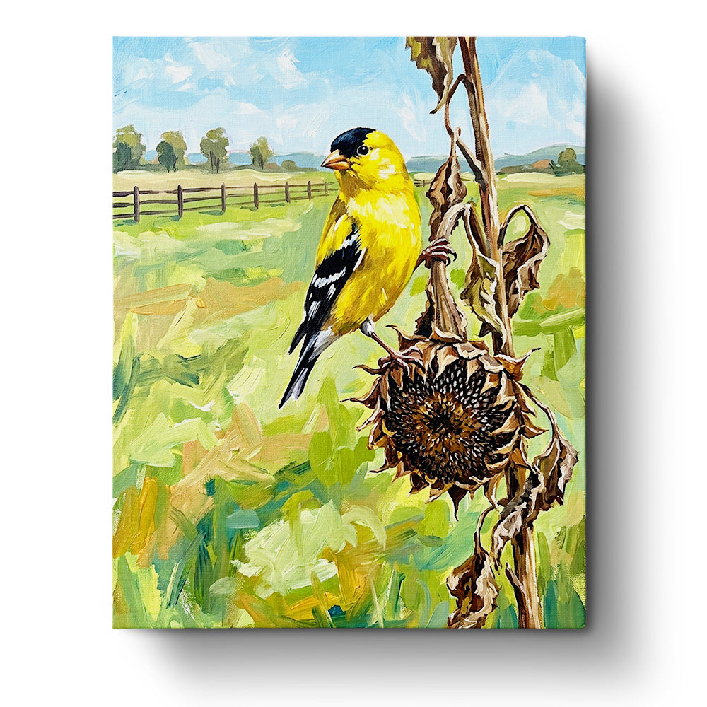 Sunlit Goldfinch on Sunflower paint by numbers kit by BestPaintByNumbers. Bright yellow bird on a sunflower against a lush green field, inspiring mindfulness and creativity.