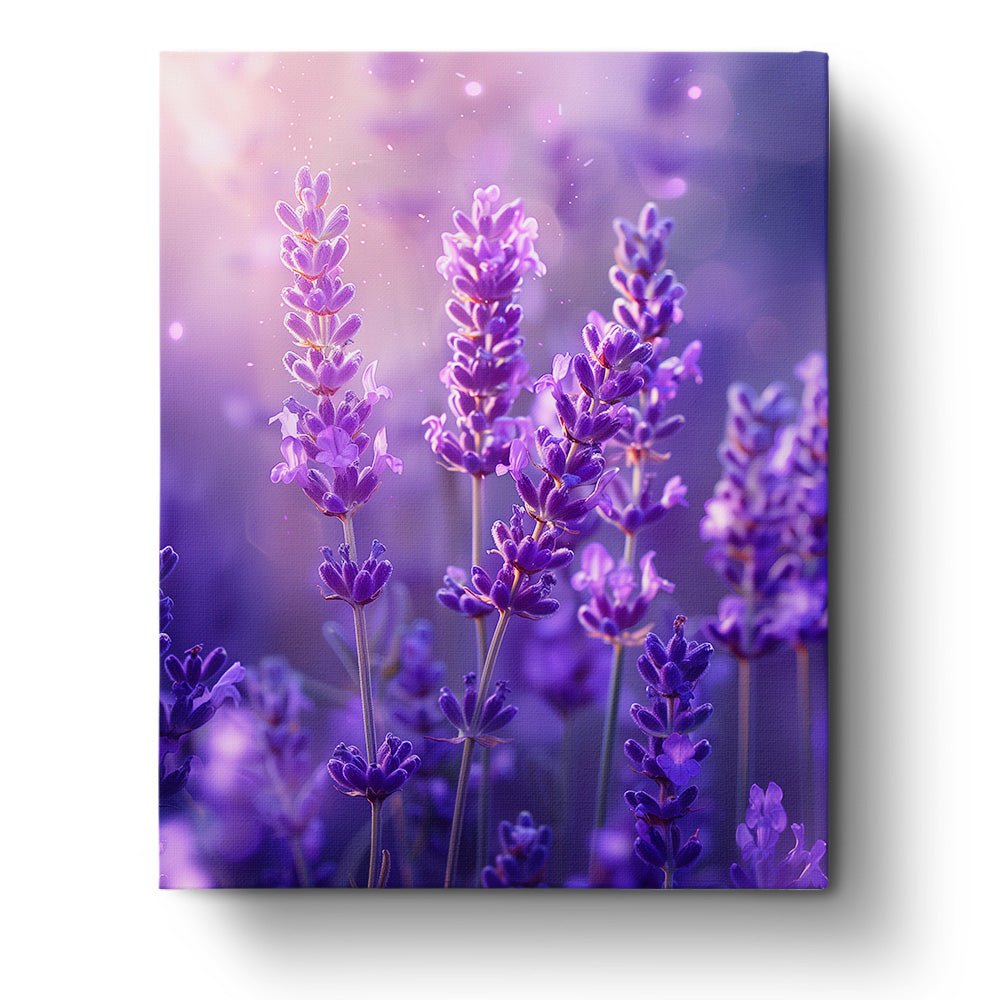 Fixed paint by numbers kit, 24 colors, 16x20in. Lavender blooms under soft sunlight. Perfect for relaxation.