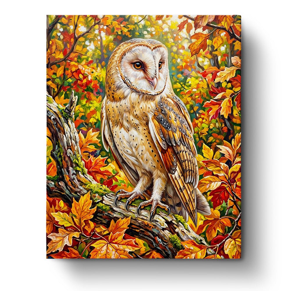 Majestic Barn Owl - Animals - BestPaintByNumbers - Paint by Numbers Custom Kit