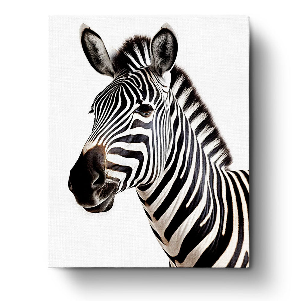 Zebra - Paint by Number Kit - BestPaintByNumbers - Paint by Numbers Fixed Kit