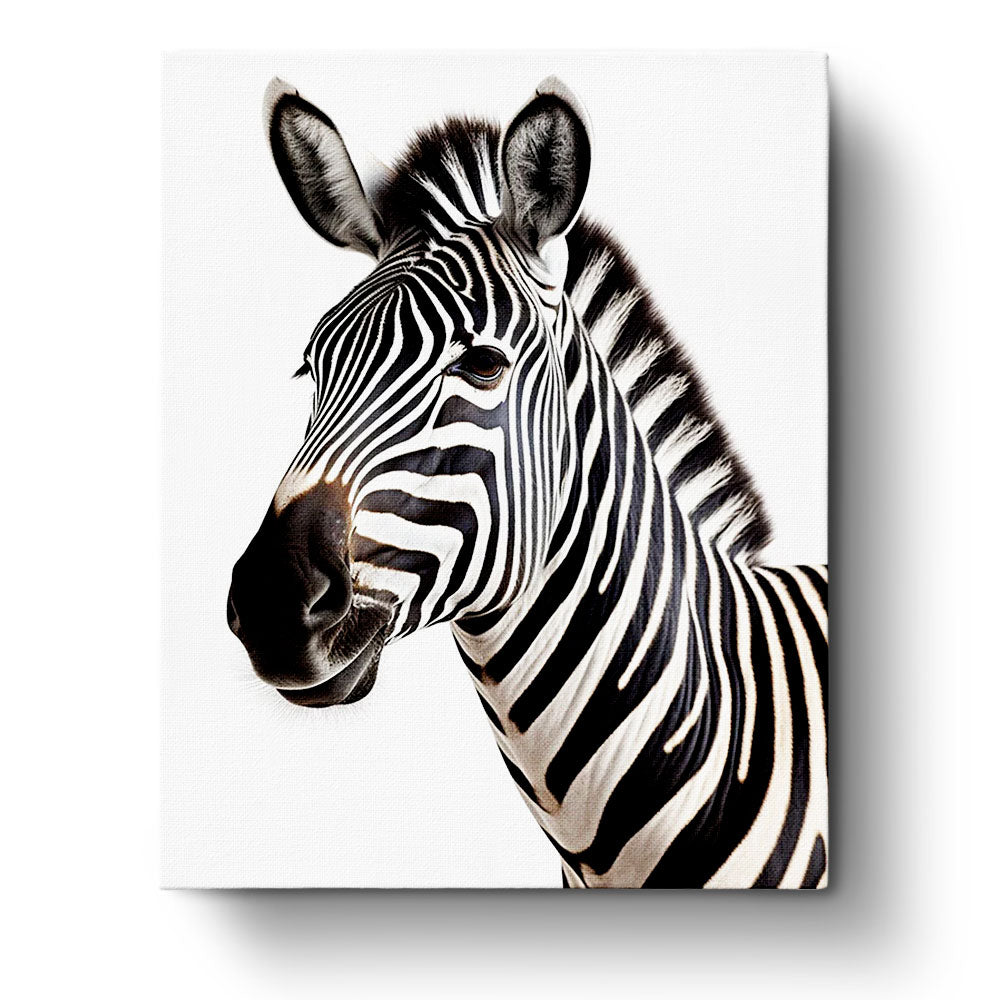 Fixed kit, 24 colors, 16x20in. Bold zebra portrait. Enjoy a calming, mindful painting experience from BestPaintByNumbers.