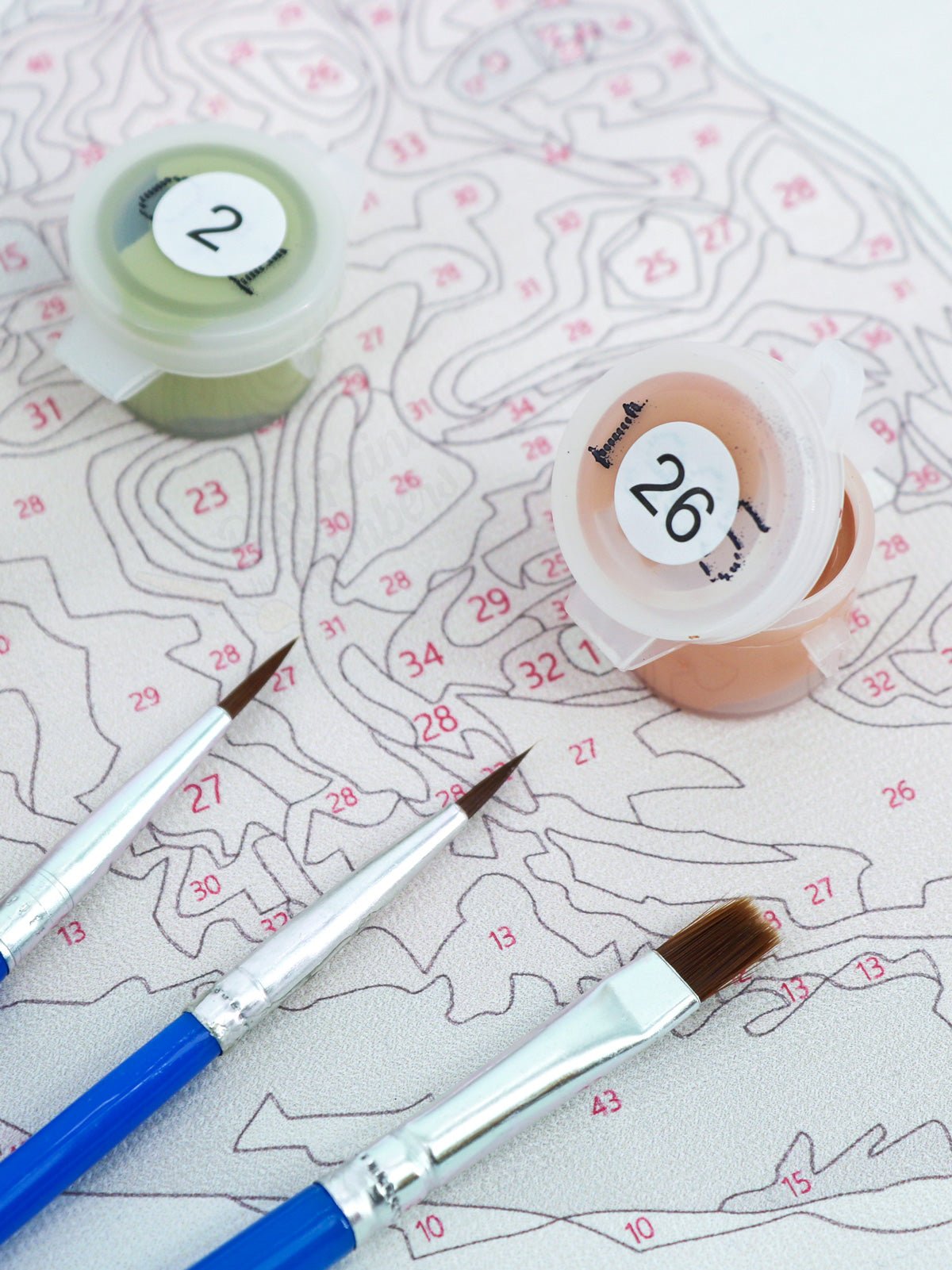 Custom Paint by Number Kit - BestPaintByNumbers - Paint by Numbers Custom Kit