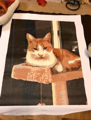 Paint By Numbers - Favorite photo - BestPaintByNumbers - Paint by Numbers Custom Kit