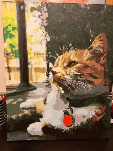 Paint By Numbers - Pets - BestPaintByNumbers - Paint by Numbers Custom Kit