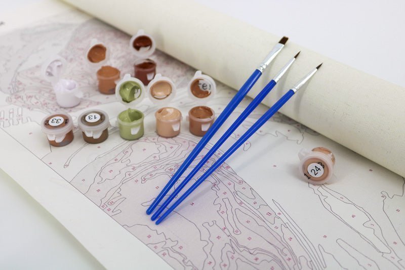 Paint Brushes for Paint By Numbers with Paint Pots and Canvas.