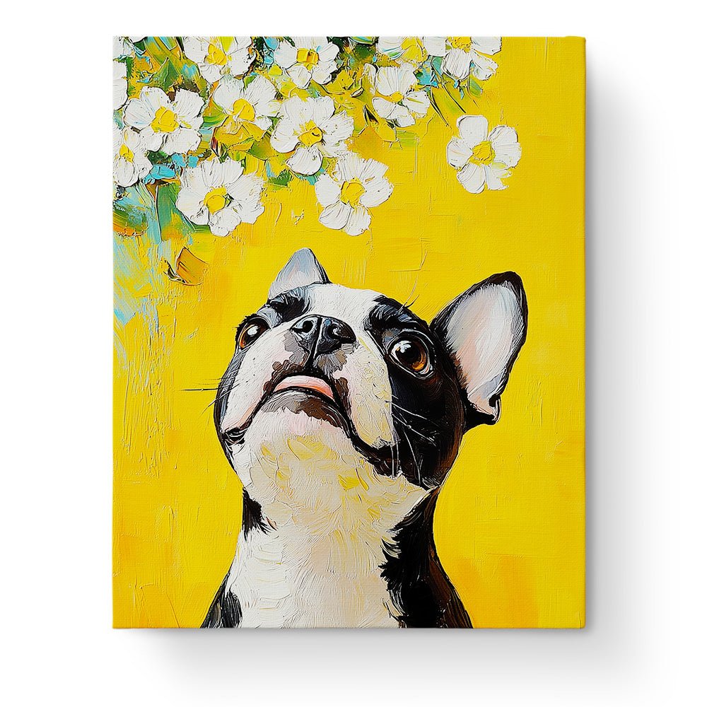 Charming Boston Terrier and Daisies - Dogs - BestPaintByNumbers - Paint by Numbers Custom Kit