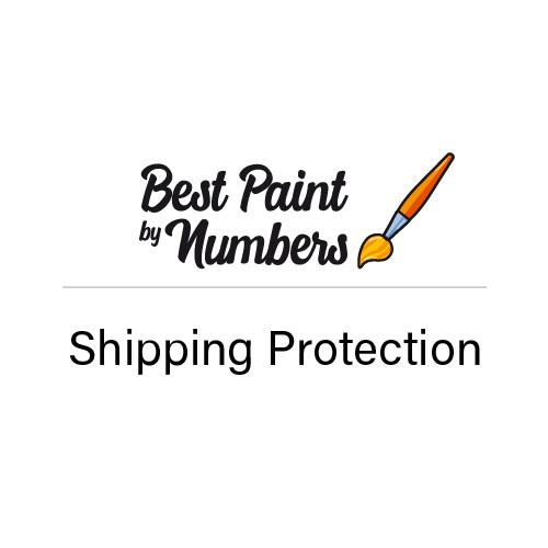 BestPaintByNumbers shipping protection for safe delivery.