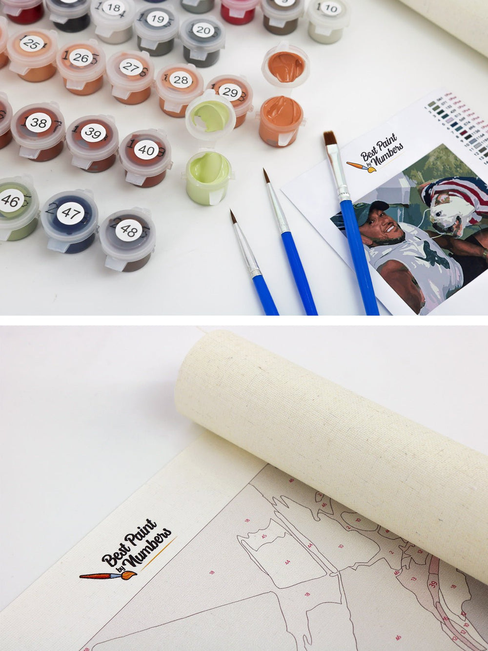 Custom Paint by Number Kit