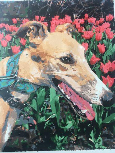 Dog with flowers and collar on a Paint By Numbers - Choose Your Size - BestPaintByNumbers - Paint by Numbers Custom Kit