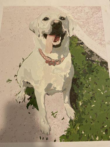 Custom Paint By Number Kit  Paint Your Photo – Pets By Numbers