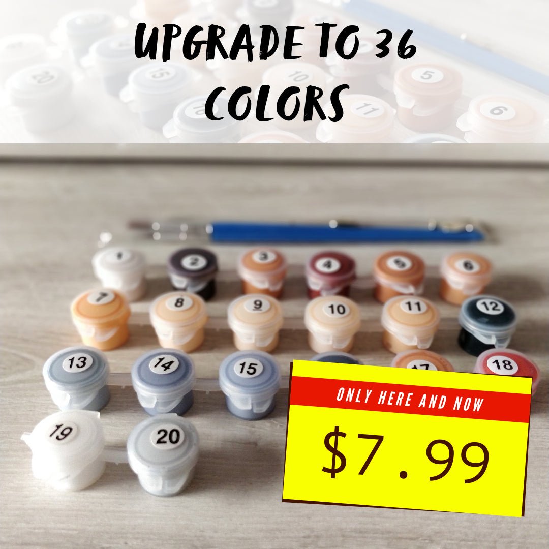 Not enough color for your painting kit? Get some more! Extra Color